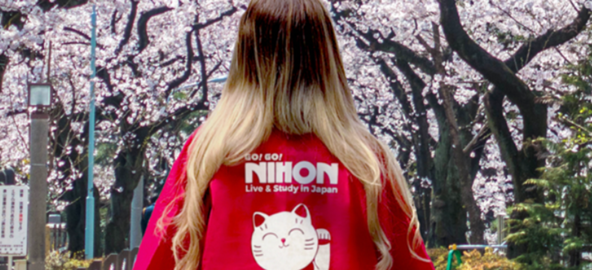 japanisch lernen in japan