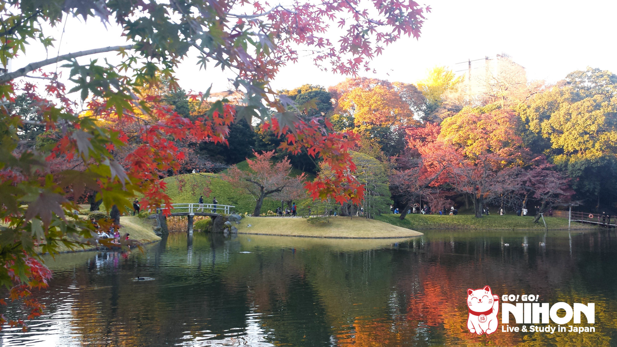 Go! Go! Nihon Die schönsten Orte um den Herbst in Japan zu erleben