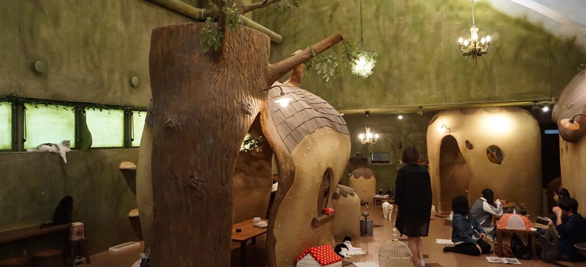 cafés animaliers au Japon