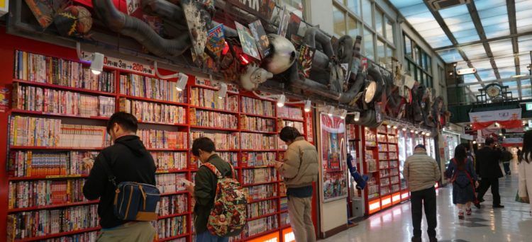 Manga- und Animekultur in Japan - Totoro