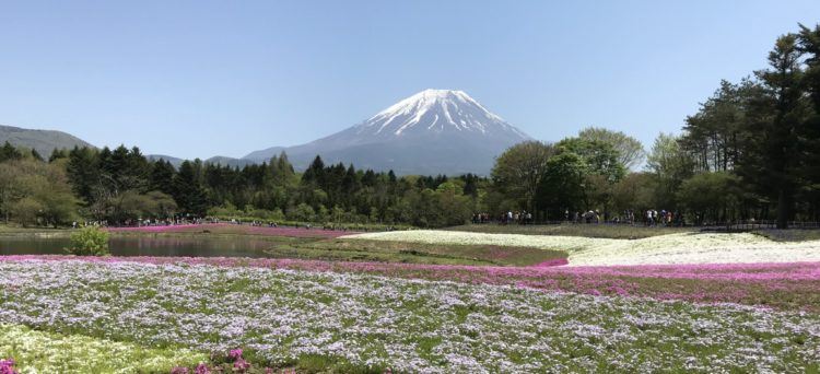 vårtecken i Japan