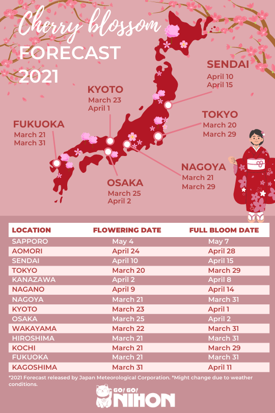 The cherry blossom forecast is out and we're excited!