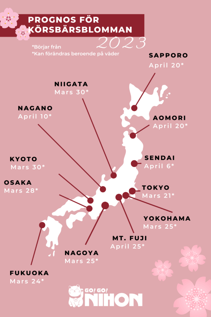 2023 Cherry blossom forecast infographic in Swedish