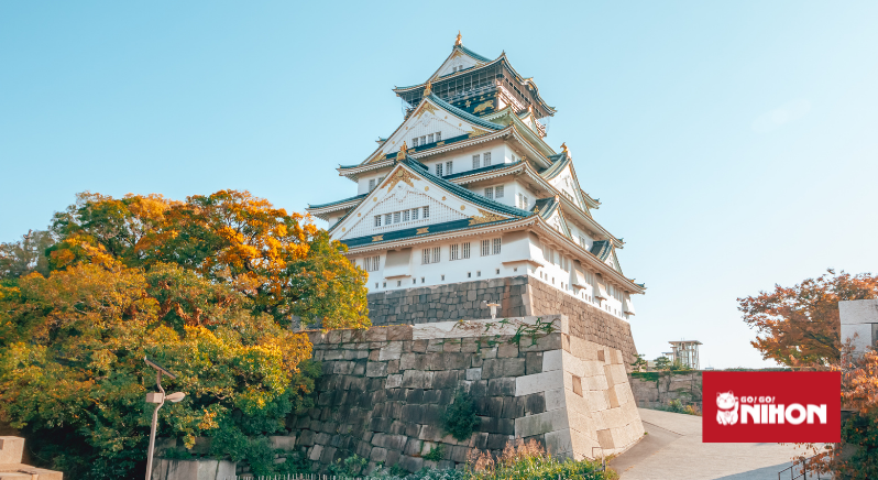 ¿Donde vivir en Osaka