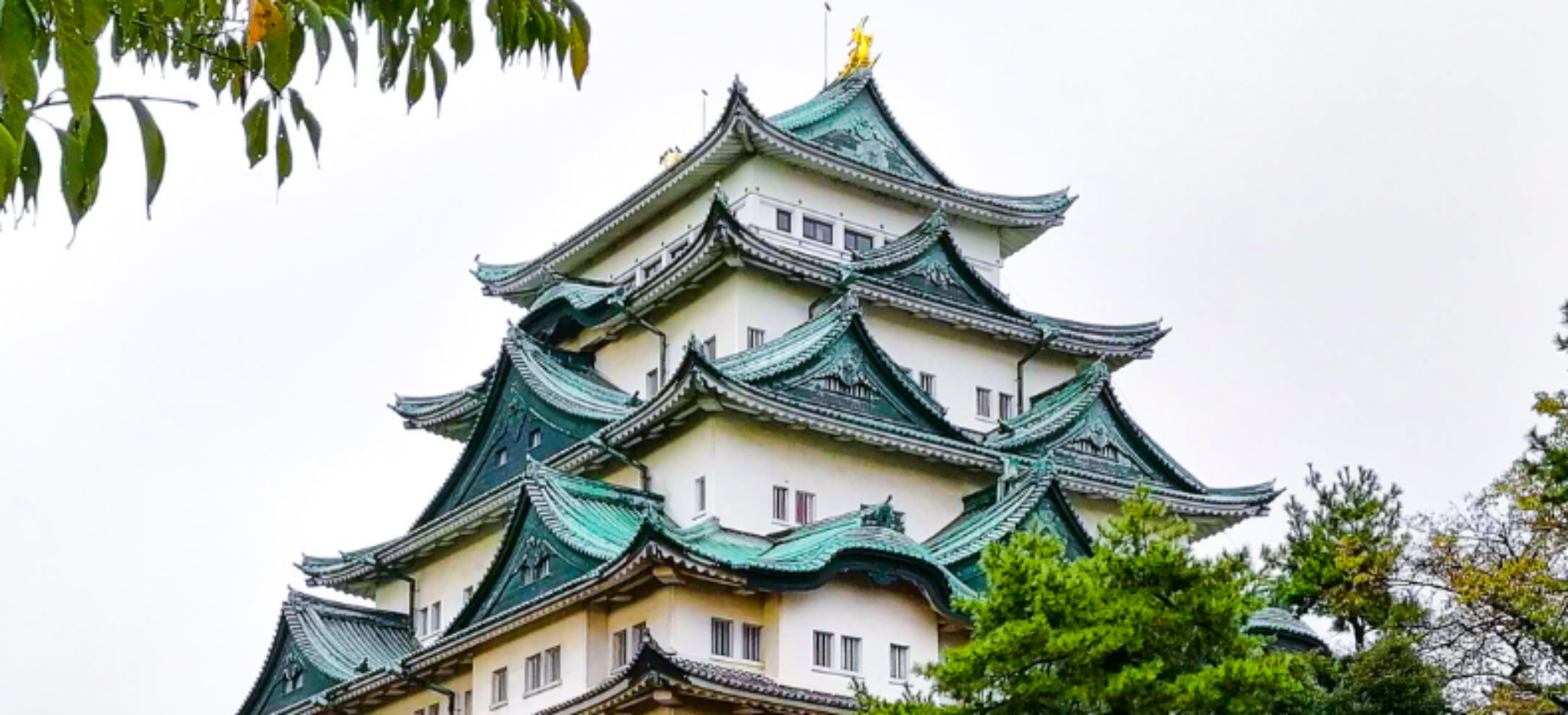 studiare a Nagoya