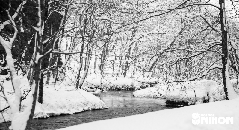 Winter landscape found in Aomori, where they speak Tsugaru-ben.
