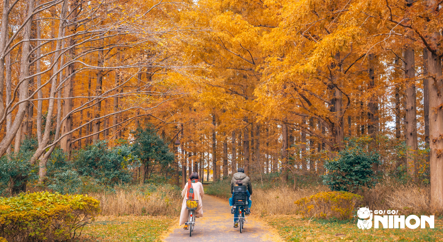 due persone in bicicletta di spalle che pedalano su un sentiero autunnale
