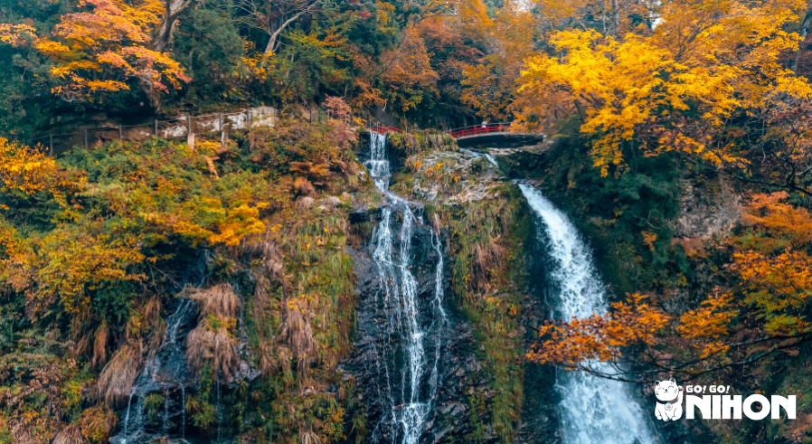 Cascata circondata da foglie autunnali gialle e arancioni