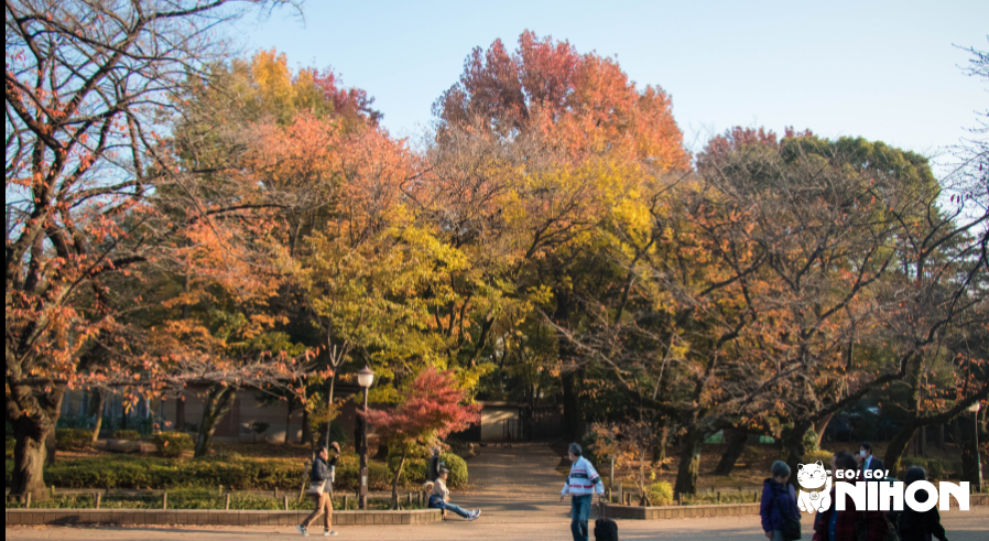 persone che giocano al parco tra gli alberi autunnali