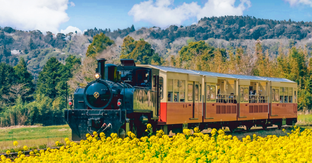 train in Chiba with yellow flowers