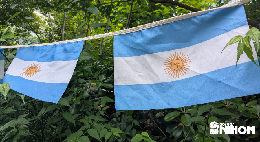 Two Argentian flags hanging in front of greenery