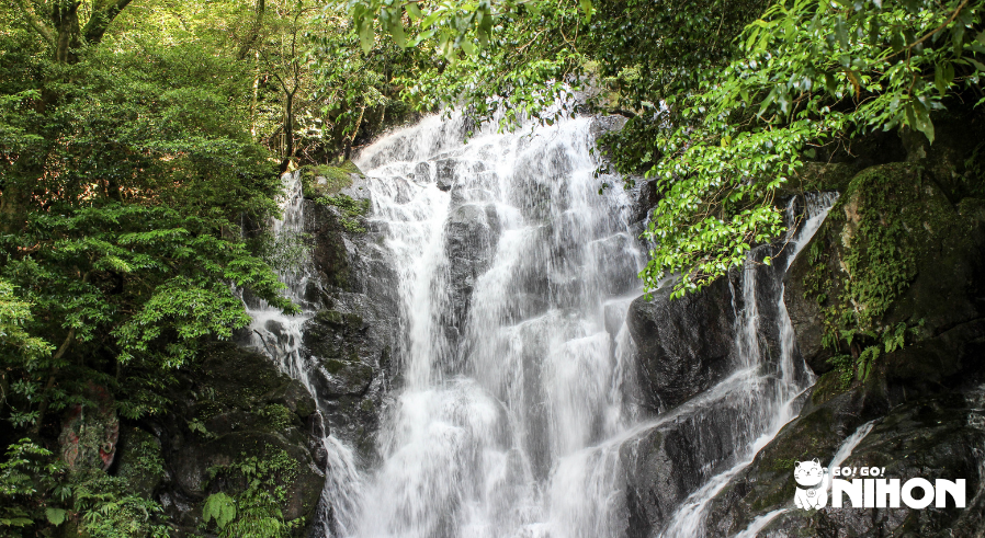 A waterfall in the Japanese mountains during the summer mountain season