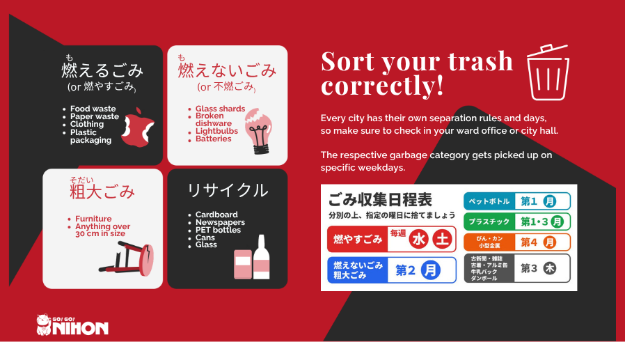 Infographic on how to sort trash and recycling correctly
